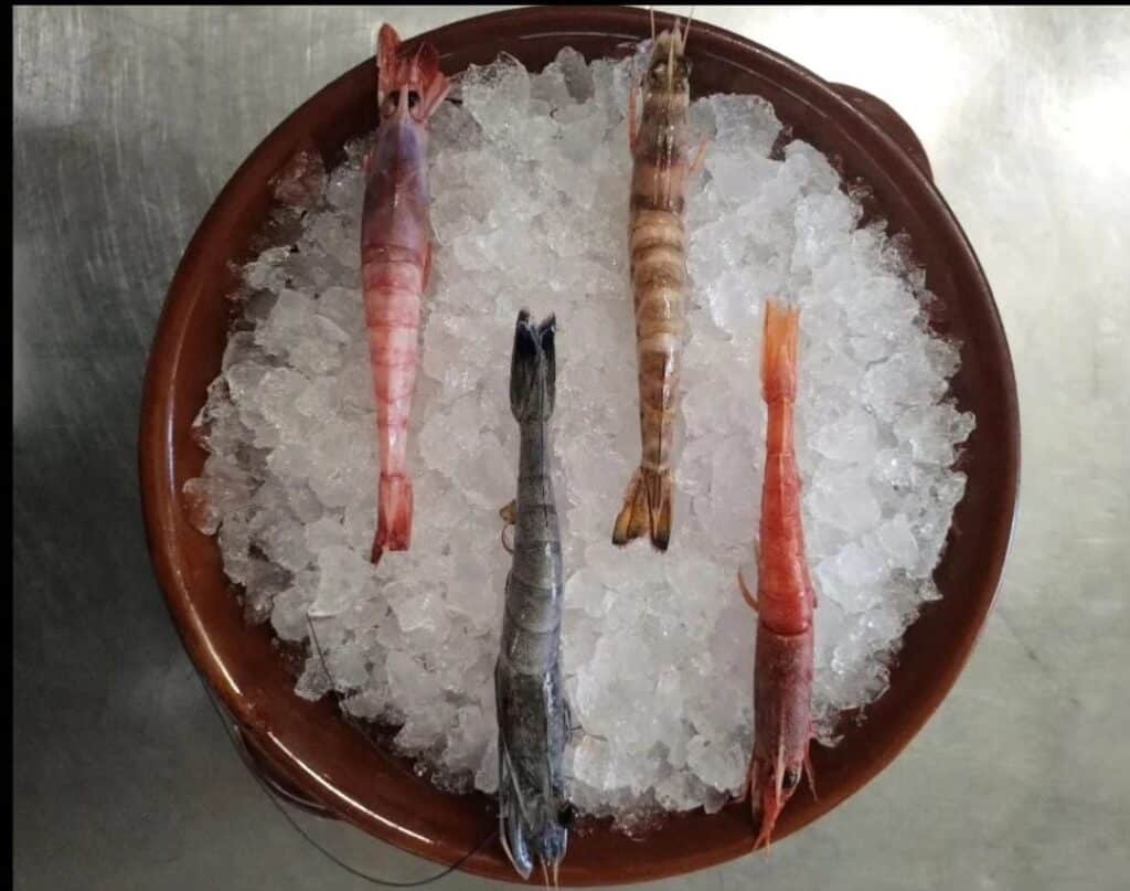 1727d693-1df2-49d5-a1d6-6ef0aeefe290