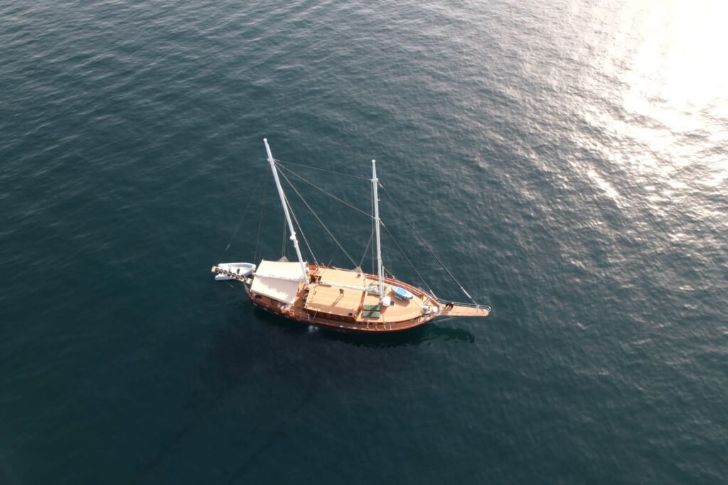 PHOTO-2021-08-01-13-00-09-1