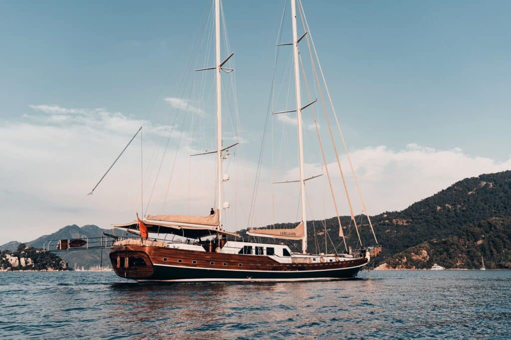 Edited with Lens Distortions v5.16.0