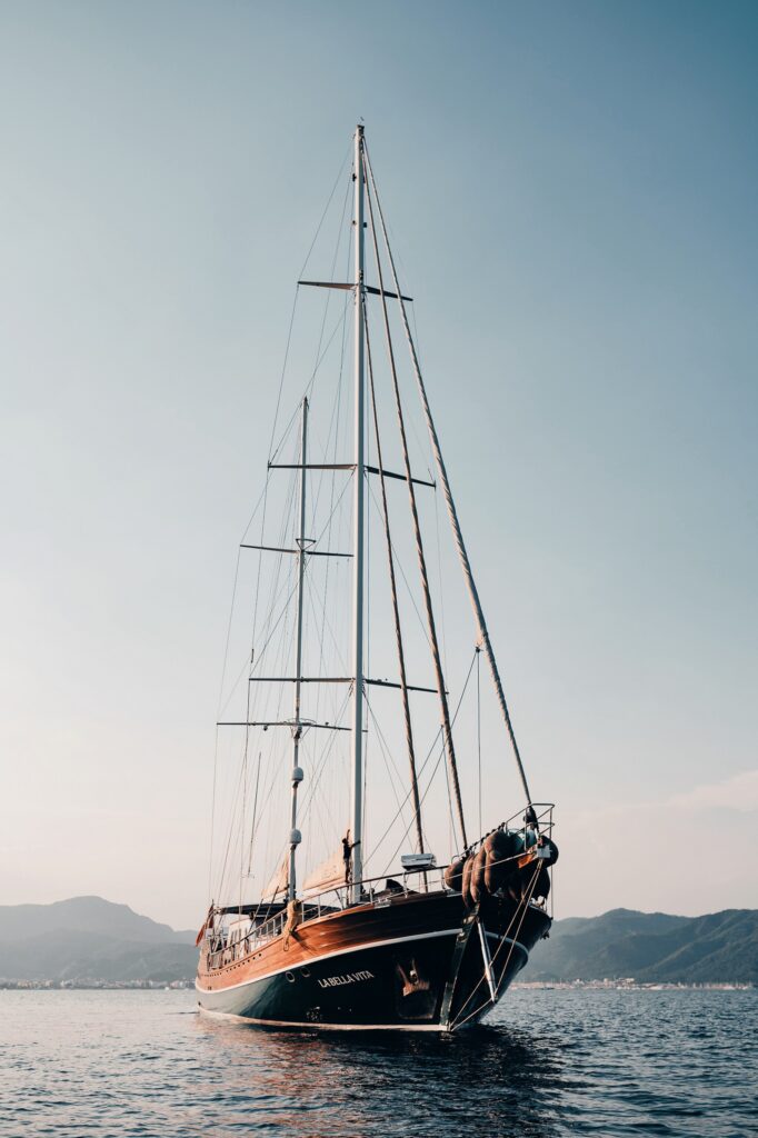 Edited with Lens Distortions v5.16.0