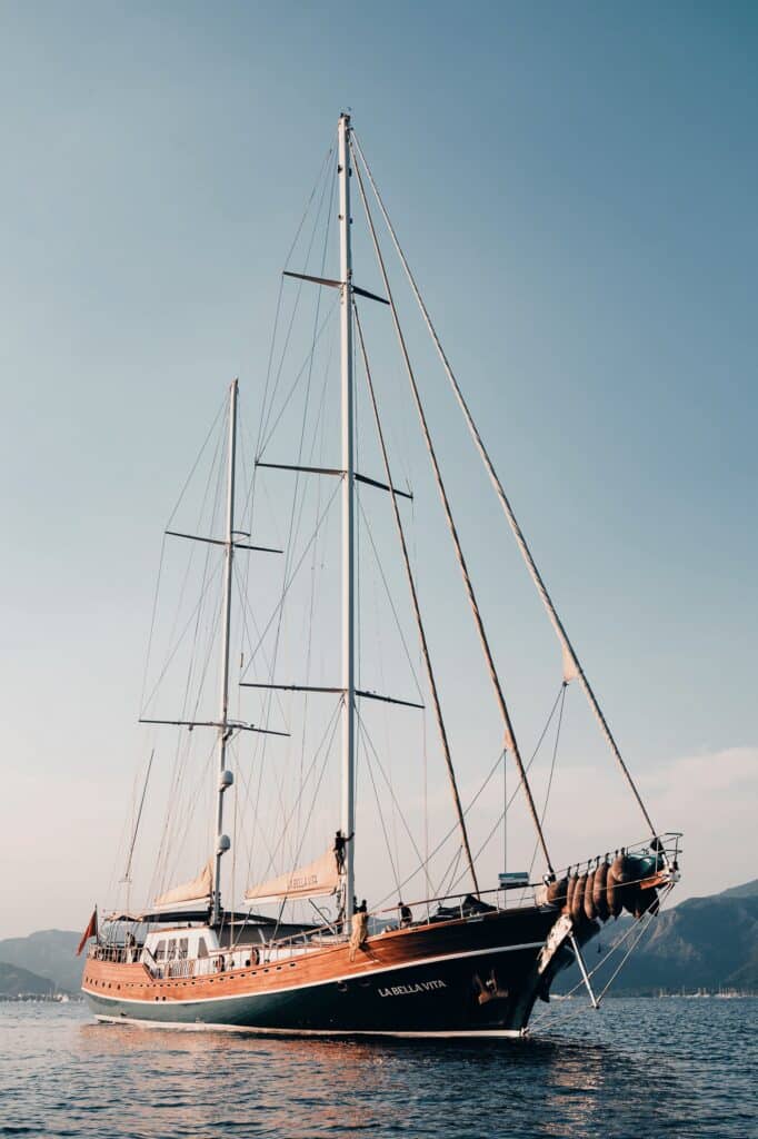 Edited with Lens Distortions v5.16.0