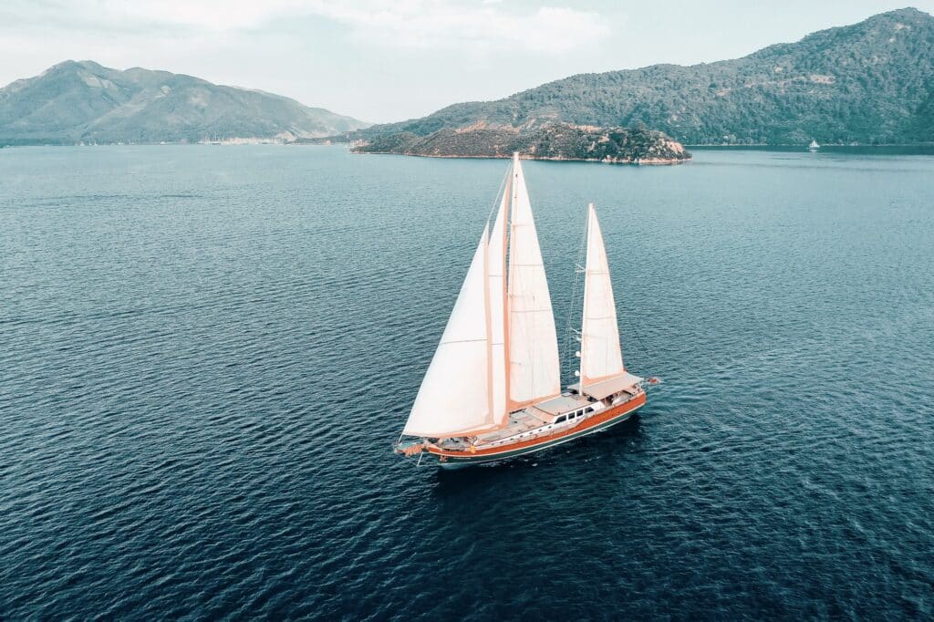 Edited with Lens Distortions v5.16.0