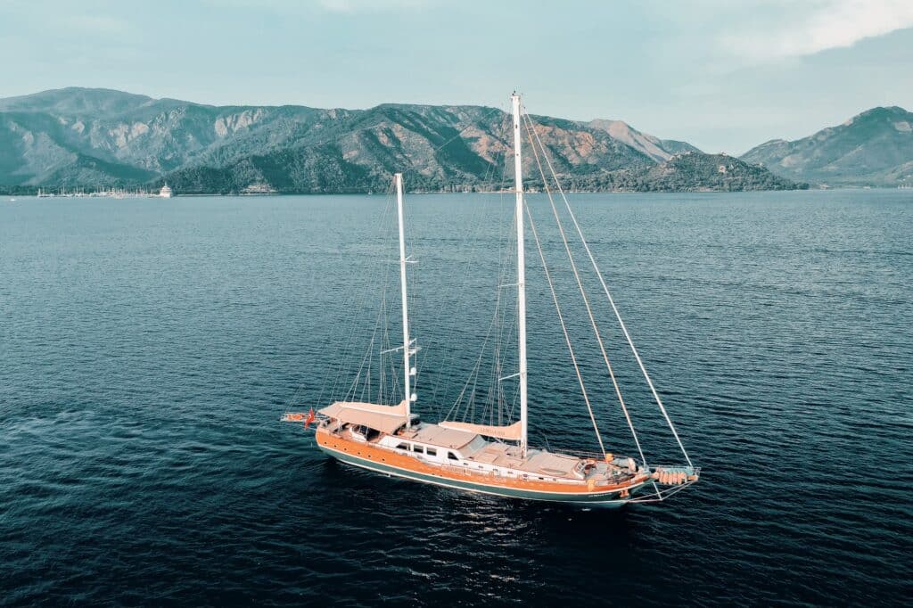 Edited with Lens Distortions v5.16.0