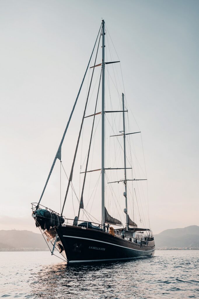 Edited with Lens Distortions v5.16.0