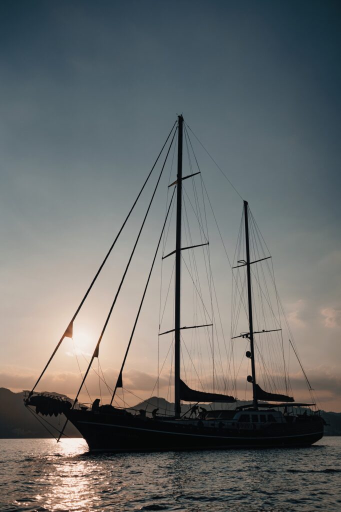 Edited with Lens Distortions v5.16.0