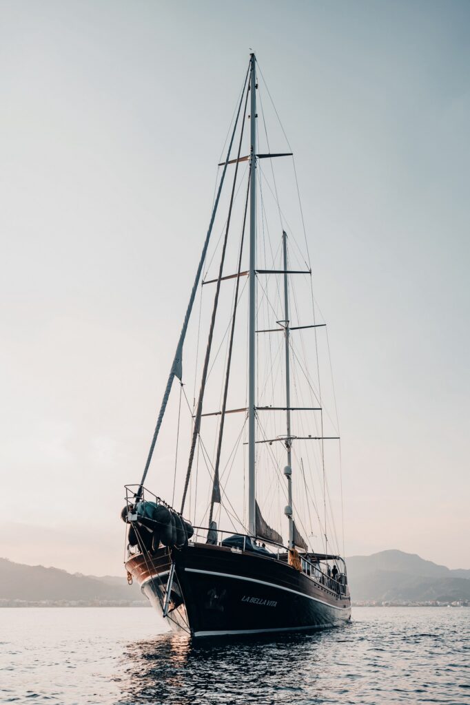 Edited with Lens Distortions v5.16.0