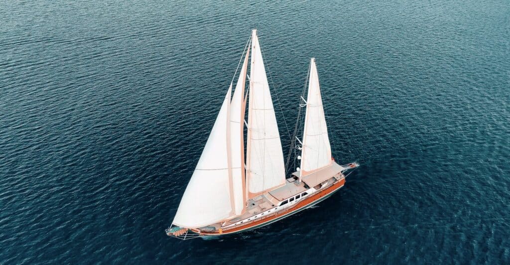 Edited with Lens Distortions v5.16.0