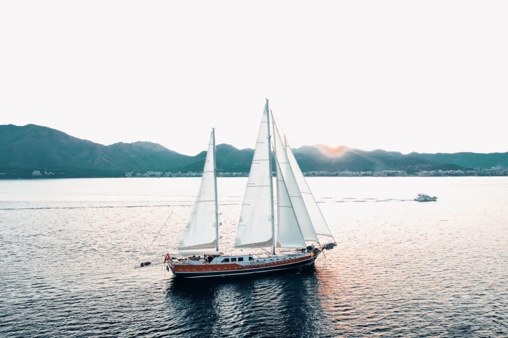 Edited with Lens Distortions v5.16.0