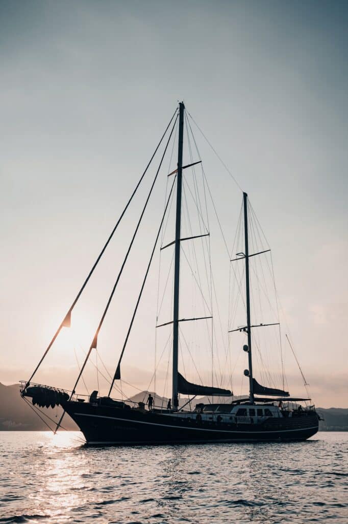 Edited with Lens Distortions v5.16.0