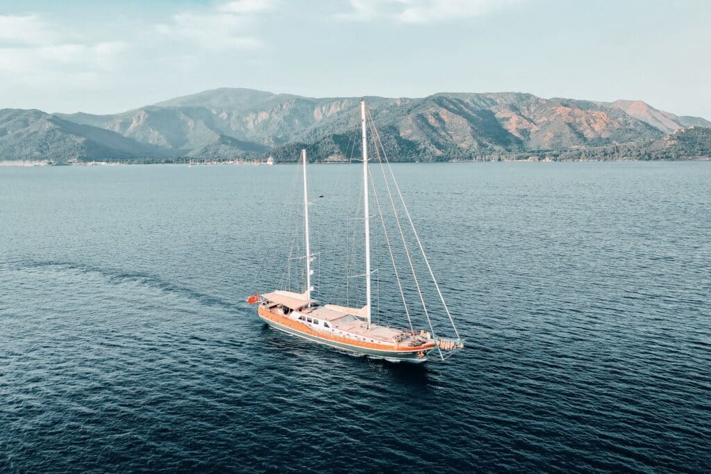 Edited with Lens Distortions v5.16.0