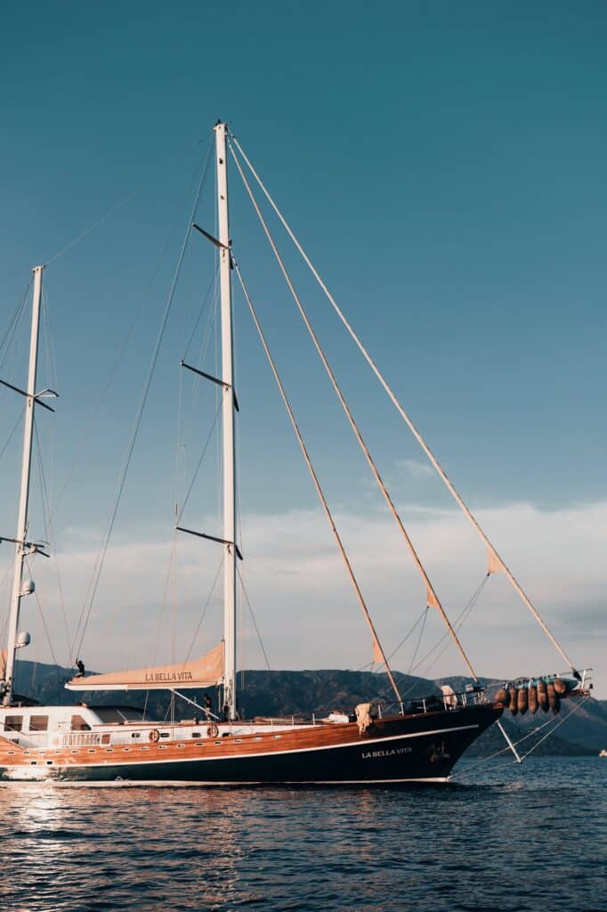 Edited with Lens Distortions v5.16.0