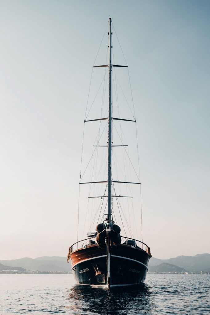 Edited with Lens Distortions v5.16.0