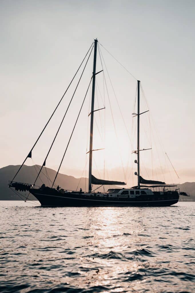 Edited with Lens Distortions v5.16.0