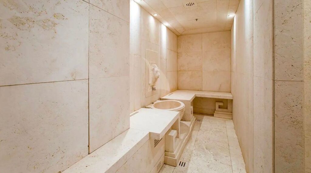 1696511743484_lioness-v-ryi-34_1652x920